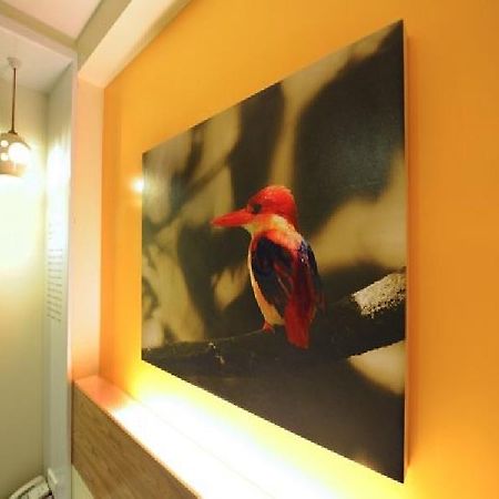 קוטה קינבלו Kk Suites Hotel מראה חיצוני תמונה